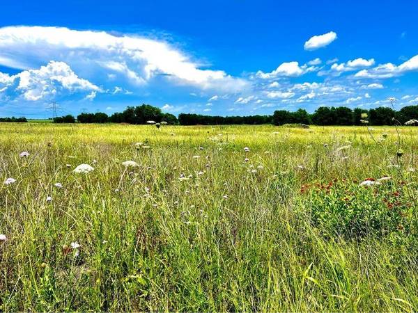 Lot 9 County Road 592, Nevada, TX 75173