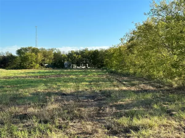 Powell, TX 75153,TBD Lot 3 NE County Road 0190