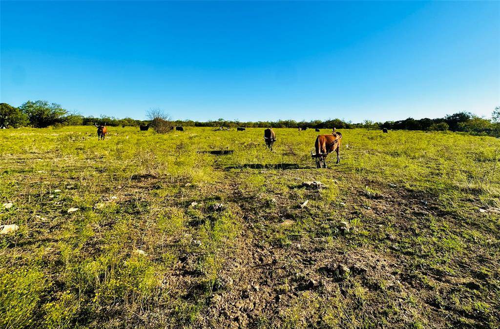 11680 State Highway 254,  Graford,  TX 76449