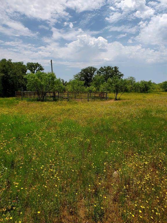 16.69 Acres TBD Fm 3265, Cisco, TX 76437