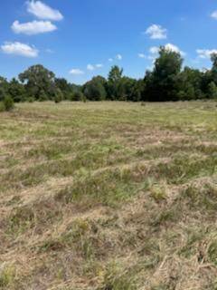 Oakwood, TX 78355,0 County Road 351