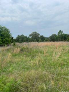 Oakwood, TX 78355,0 County Road 351