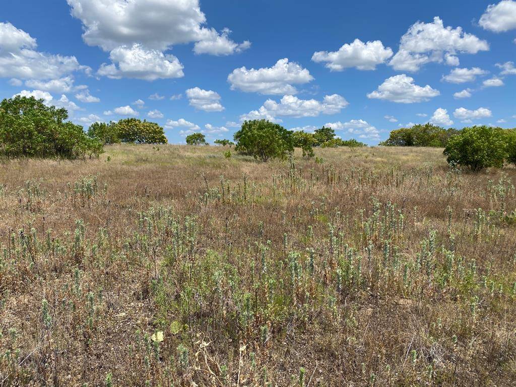 Possum Kingdom Lake, TX 76449,Lot 319 Shooting Star Court