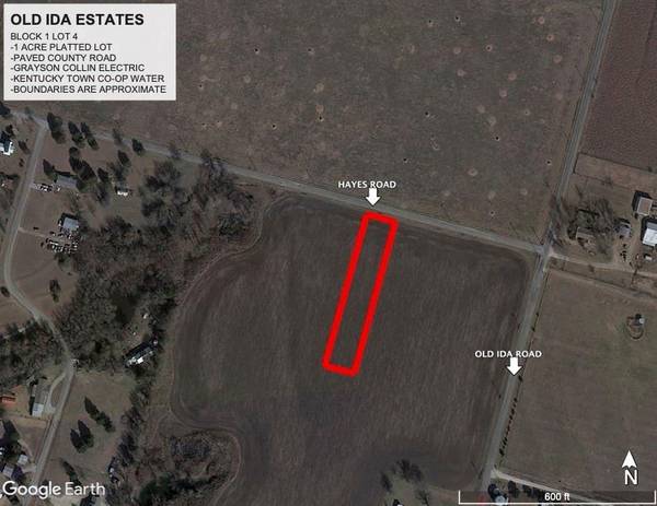 Lot 4.1 Hayes Road, Sherman, TX 75090