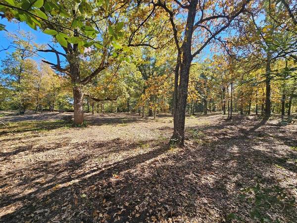 TBD County Road 2810, Mineola, TX 75773