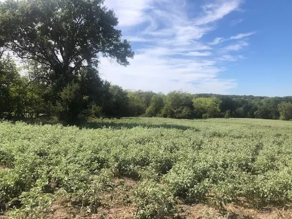 Decatur, TX 76234,Lot 2 11.001 ac CR 2750