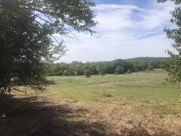 Decatur, TX 76234,Lot 2 11.001 ac CR 2750