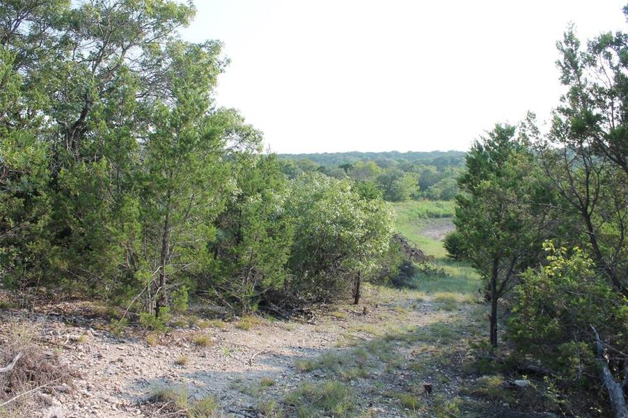 9952 W Hwy 67 Tract 5, Glen Rose, TX 76690