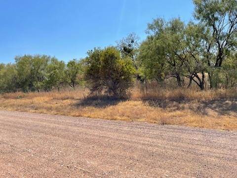 TBD b County Road 347, Hawley, TX 79525