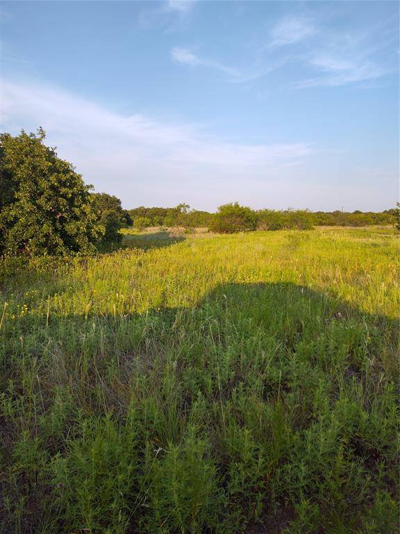 20 Acres County Road 123, Ranger, TX 76470