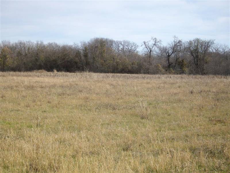 TBD Bill Lewis Road, Forreston, TX 76041