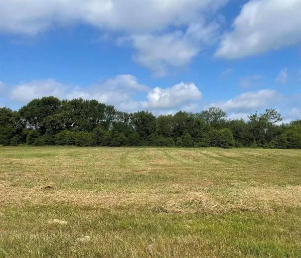 TBD Lot 10 VZ County Road 3416, Wills Point, TX 75169