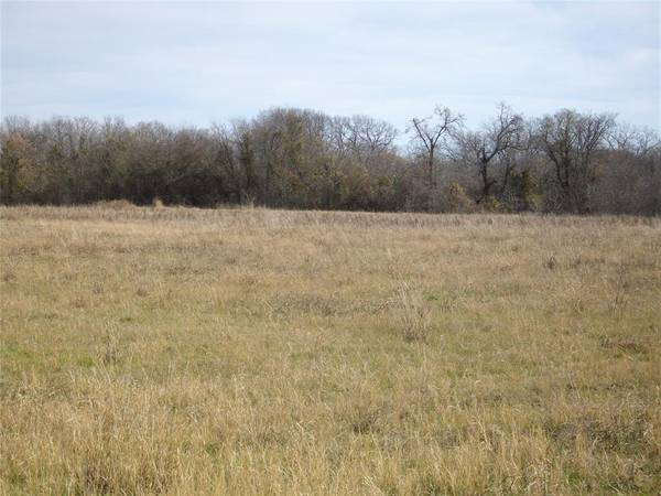 TBD Bill Lewis Road,  Forreston,  TX 76041