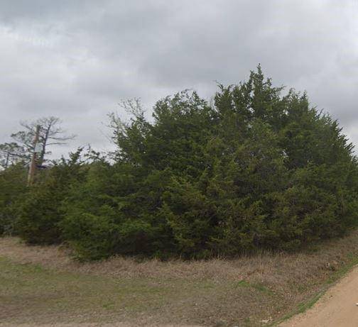 TBD LOT 303 Green Briar Drive, Gordonville, TX 76245