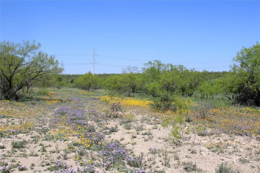 0 Fm 1929, Paint Rock, TX 76866