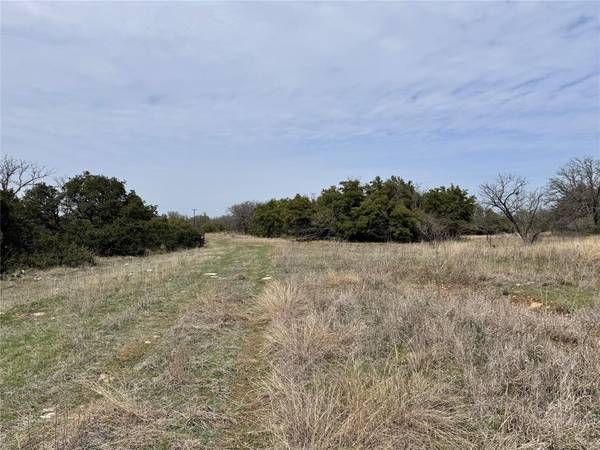 Brownwood, TX 76801,TBD Lot 92 Cheryl Street