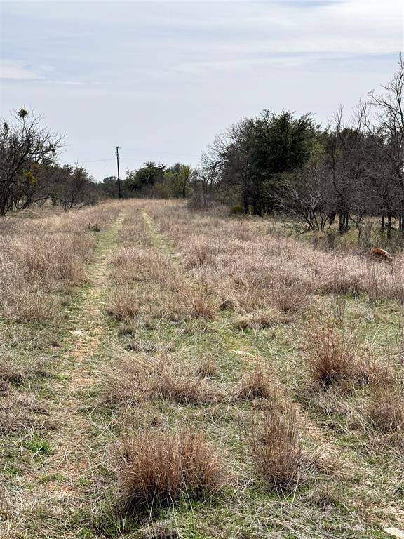 Brownwood, TX 76801,TBD Lot 92 Cheryl Street