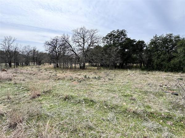 Brownwood, TX 76801,TBD Lot 92 Cheryl Street