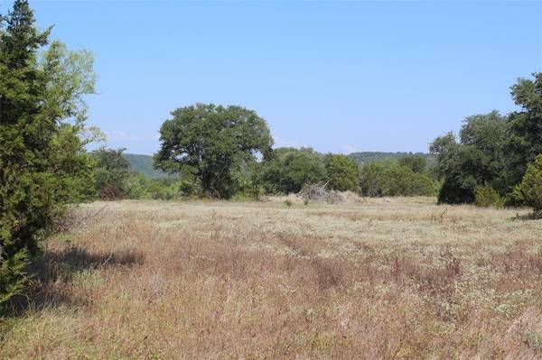 0042 RM 3137, Palo Pinto, TX 76484