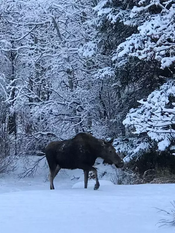 Rural Foothills County, AB T1S1B1,306101 43 ST E #100