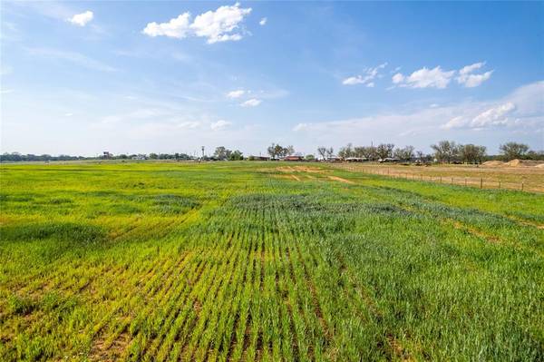 Rainbow, TX 76077,1152 County Road 317