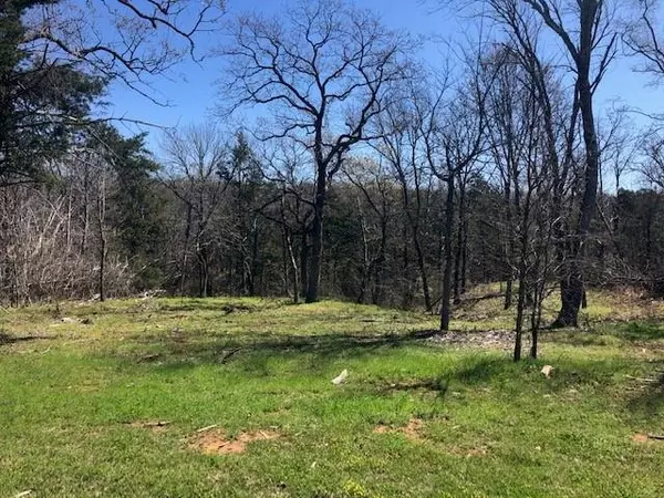 Lot 39 Dove Canyon Drive, Gordonville, TX 76245