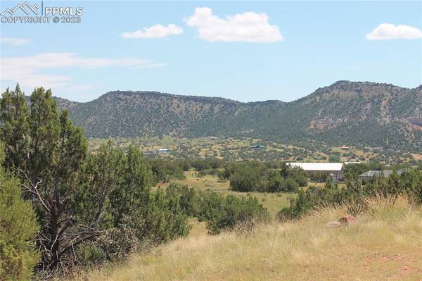 Lot 10 Phantom Canyon EST, Penrose, CO 81240