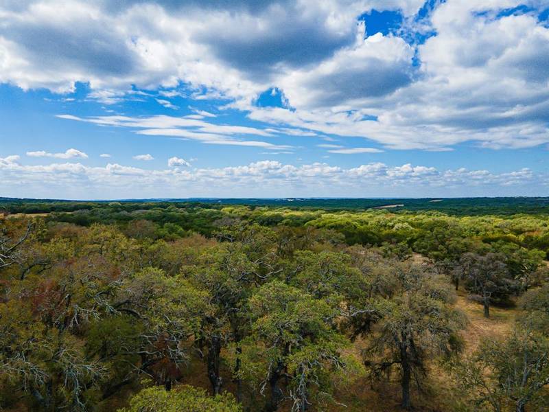 920 Blackbuck Ridge Drive, Lampasas, TX 76550