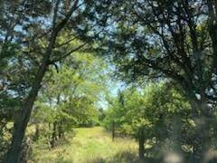 TBD A 20 Acre FM 3396 Road, Kemp, TX 75143