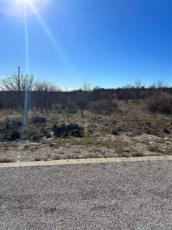 Graford, TX 76449,TBD The Dunes Drive