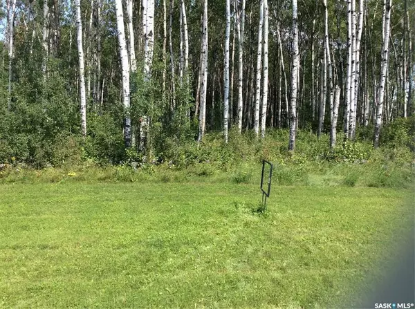 Lot 13 Rural Address, Delaronde Lake, SK S0J 0E0