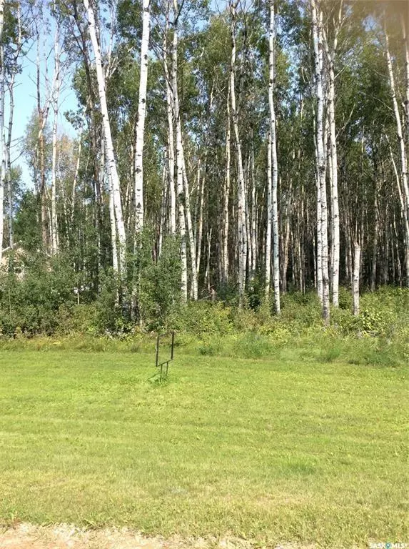 Delaronde Lake, SK S0J 0E0,Lot 13 Rural Address