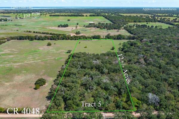 Tract 5 CR 4048, Kemp, TX 75143