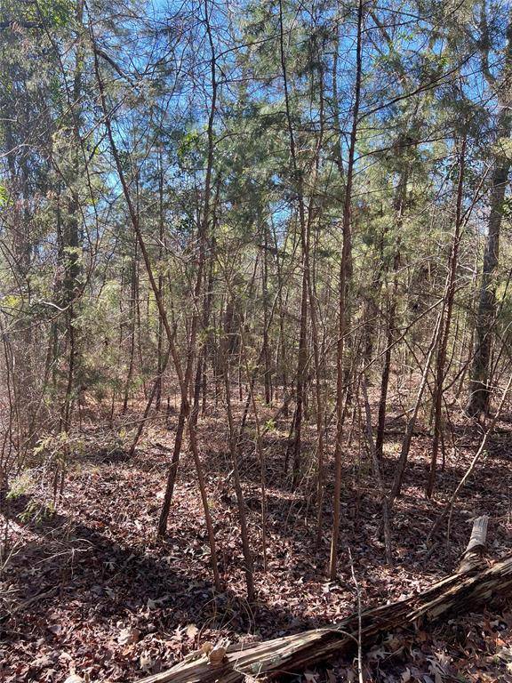 Winnsboro, TX 75494,TBD County Road 4550