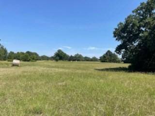 TBD C 20 Acre FM 3396 Road, Kemp, TX 75143