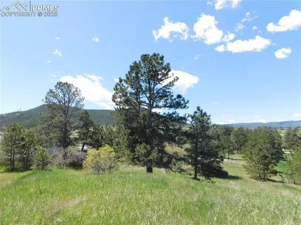 Larkspur, CO 80118,Lot 4 Silverheels DR