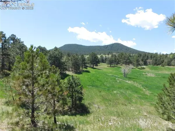 Larkspur, CO 80118,Lot 4 Silverheels DR