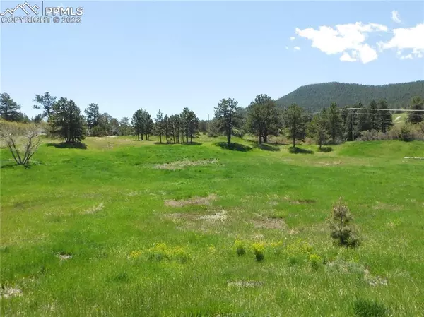 Larkspur, CO 80118,Lot 4 Silverheels DR