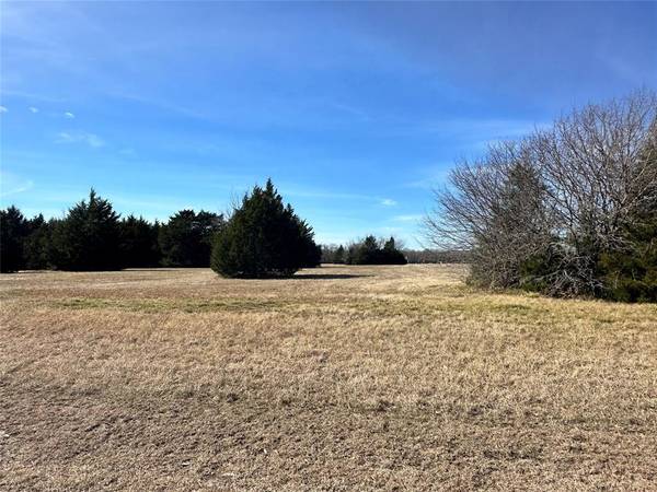 Lot 91 Sailboat Drive, Corsicana, TX 75109