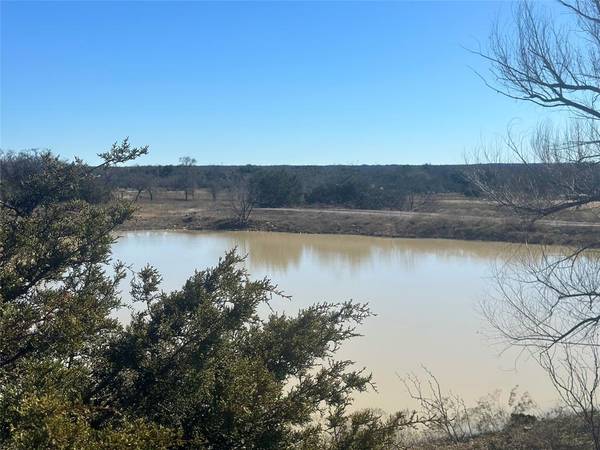 Tract B New Salem Road, Santo, TX 76472