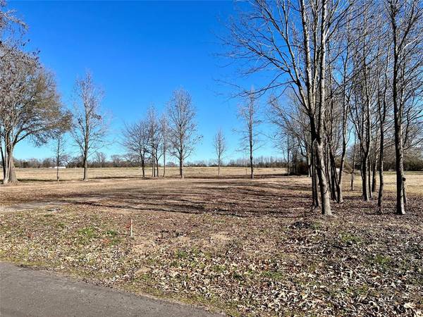 tbd County Road 4230, Winnsboro, TX 75494