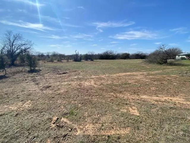 1203 Sandy Lane, Weatherford, TX 76088