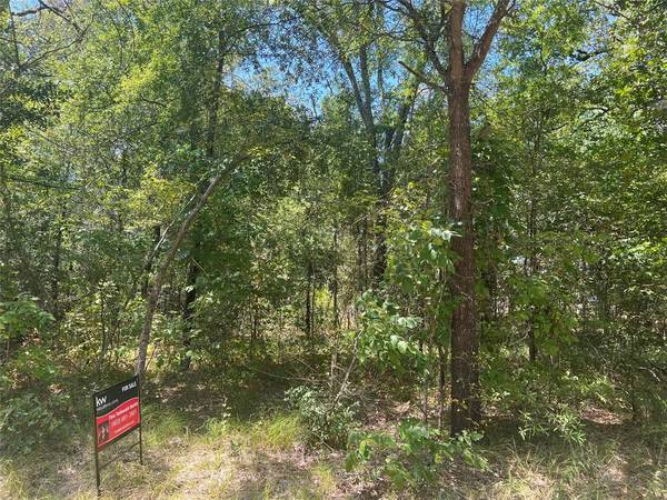 Lot 2 Oakwood Drive, Trinidad, TX 75163