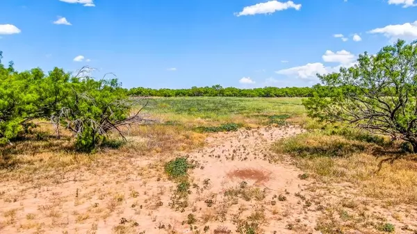 Newcastle, TX 76372,TBD Profitt Road