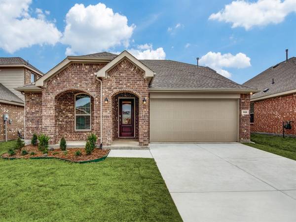 1328 Renoir Drive, Little Elm, TX 75068