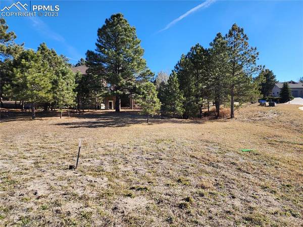 1404 Piney Hill PT, Monument, CO 80132