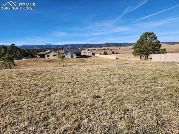 1432 Piney Hill PT, Monument, CO 80132