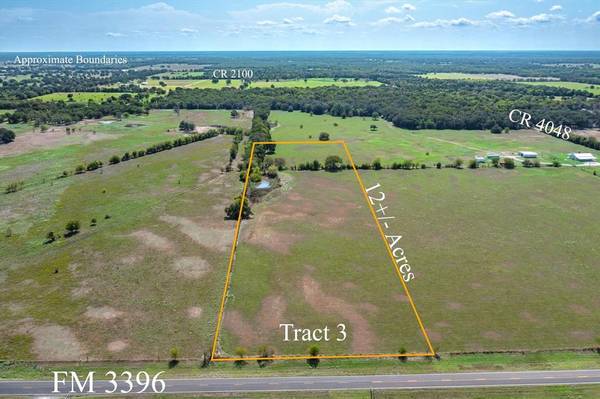 Tract 3 FM 3396, Kemp, TX 75143