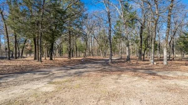 Emory, TX 75440,000 Lot 65 Rains  CR 4269