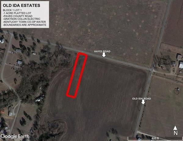 Lot 1.1 Hayes Road, Sherman, TX 75090